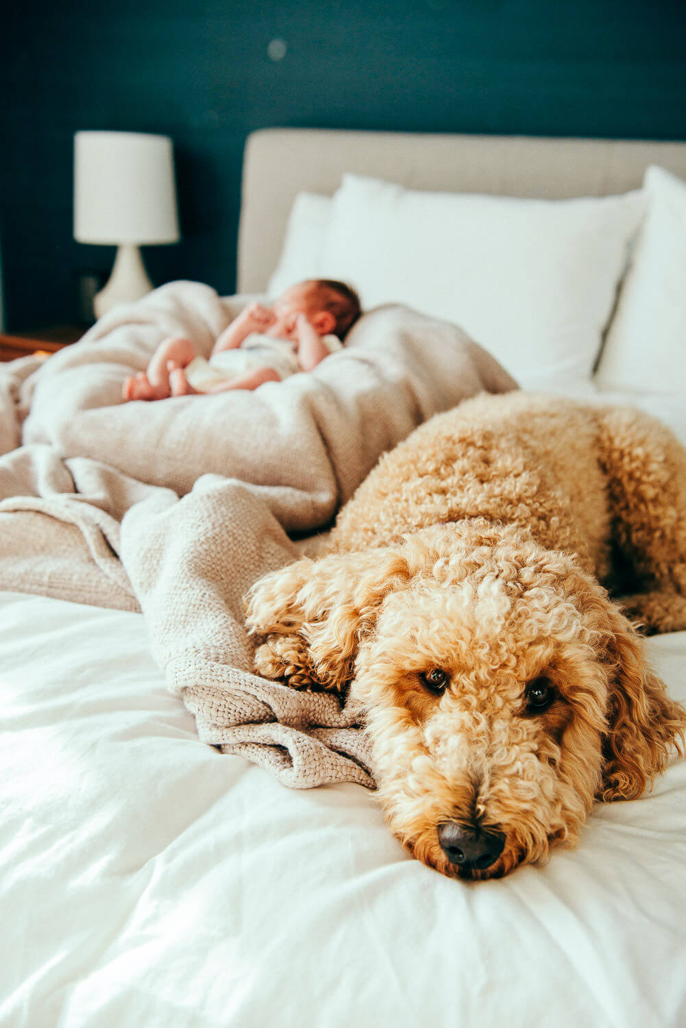 newborn-photography-brooklyn-nyc-gl-17