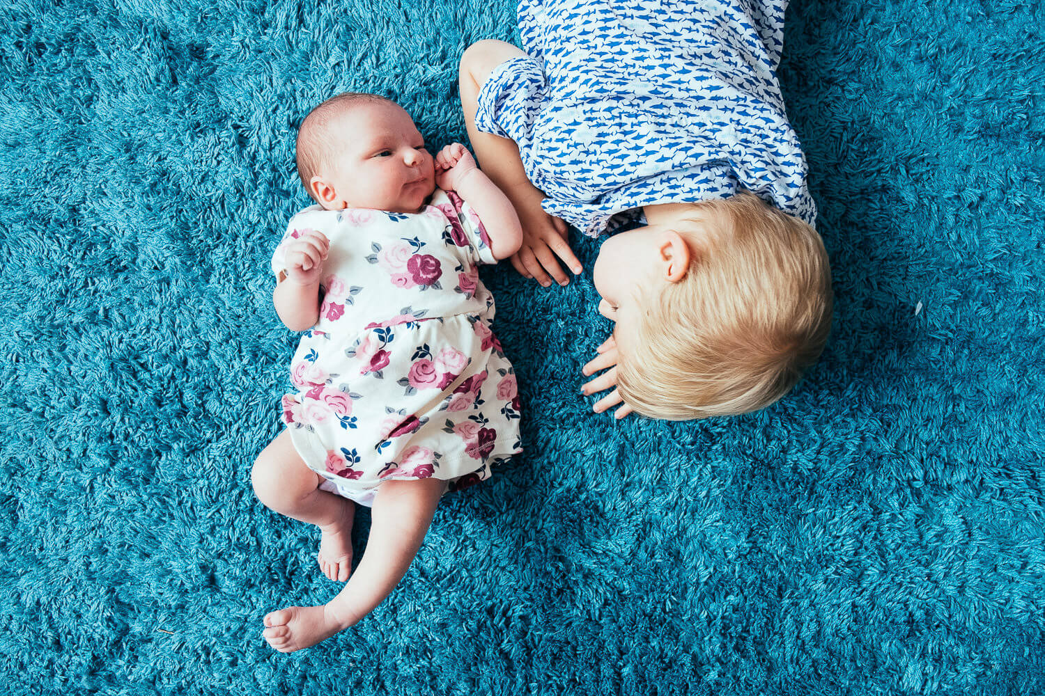 Williamsburg newborn and toddler session