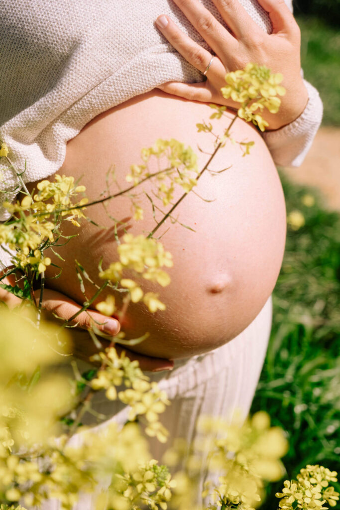A close-up of a mom-to-be’s pregnant belly cradled by two hands, surrounded by yellow wildflowers outdoors on a sunny day—perfect for capturing the magic of a maternity photoshoot in a cozy, light-colored sweater.