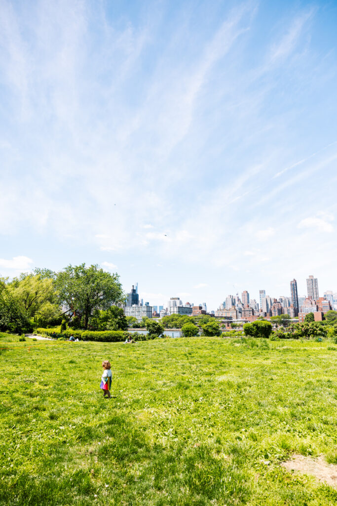 A young child walks on a large grassy field under a blue sky with wispy clouds, with a city skyline and trees in the background—perfect for outdoor newborn photography NYC.