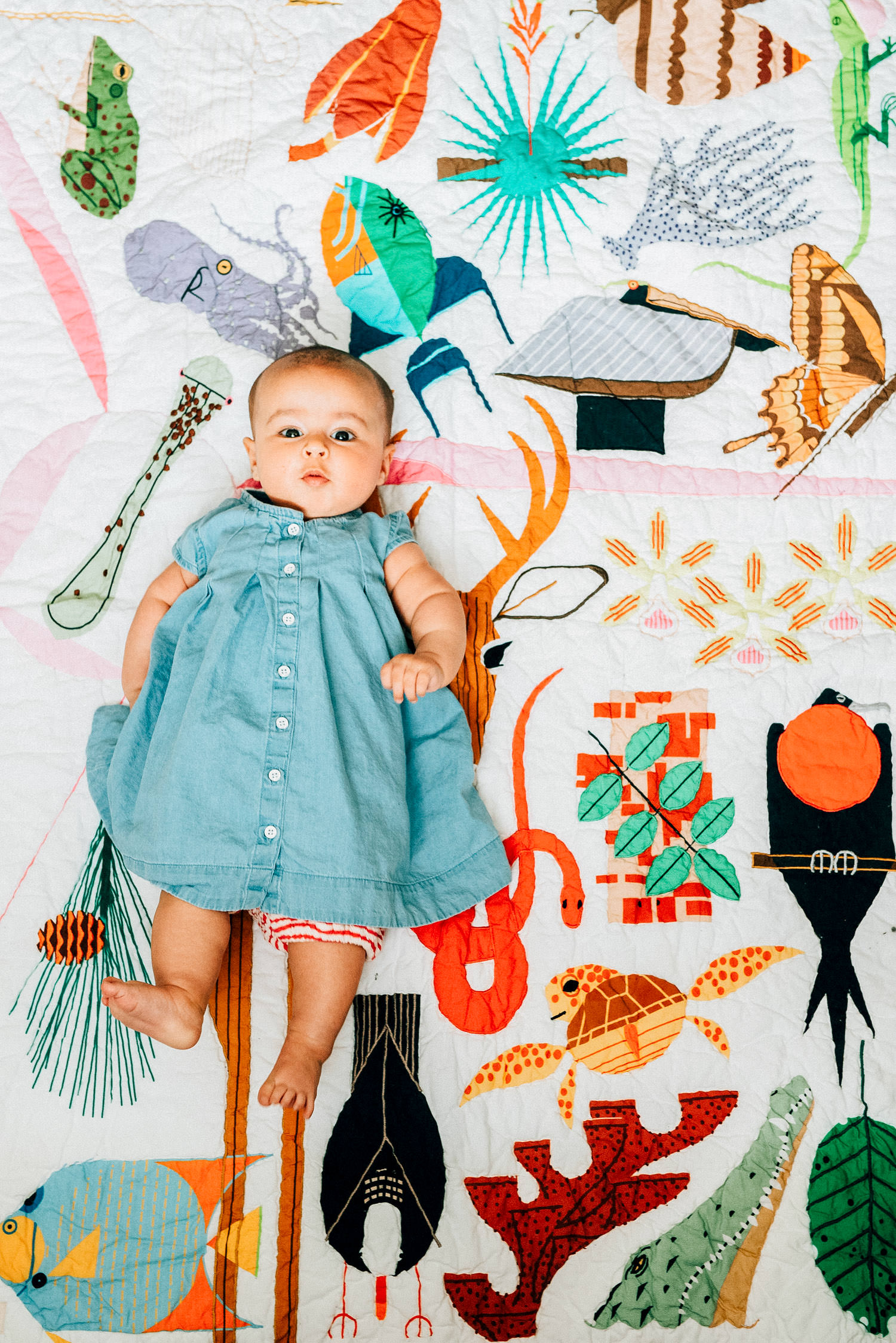 Close-up portrait of newborn in fun designer blanket taken in small Brooklyn home